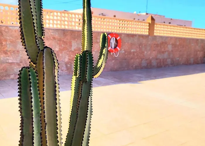 Enjoy House With Large Pool & Jacuzzi 빌라 Los Estancos